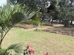 Jardín