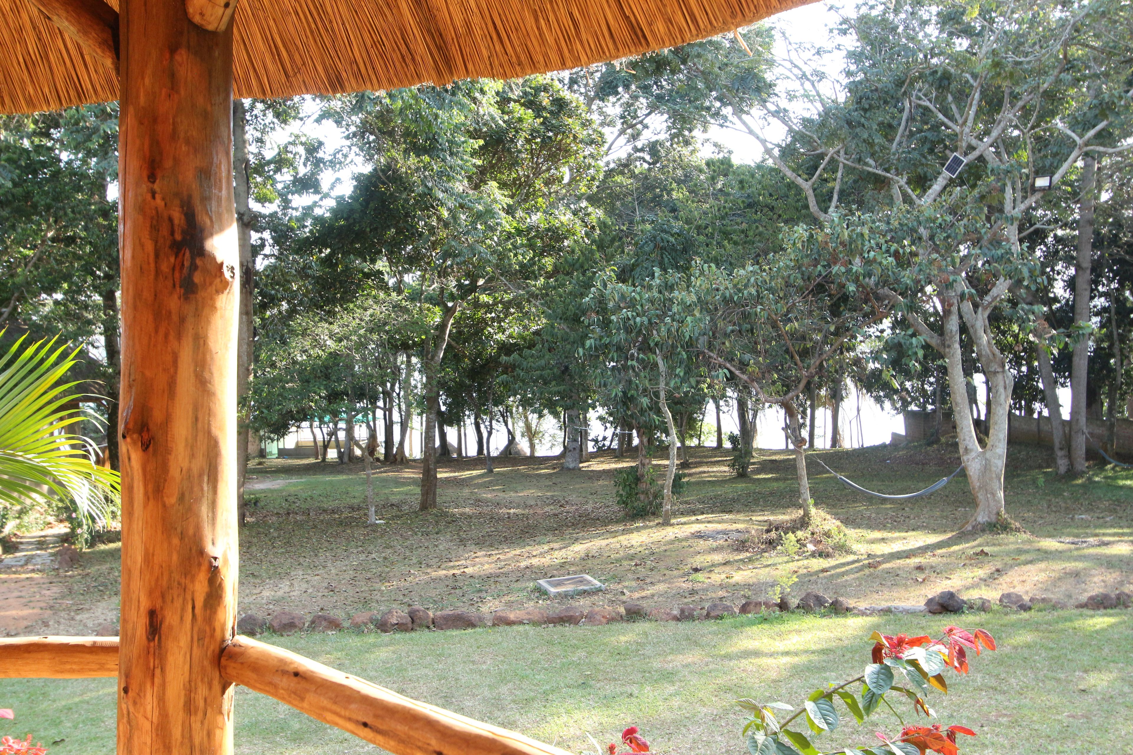 Jardín