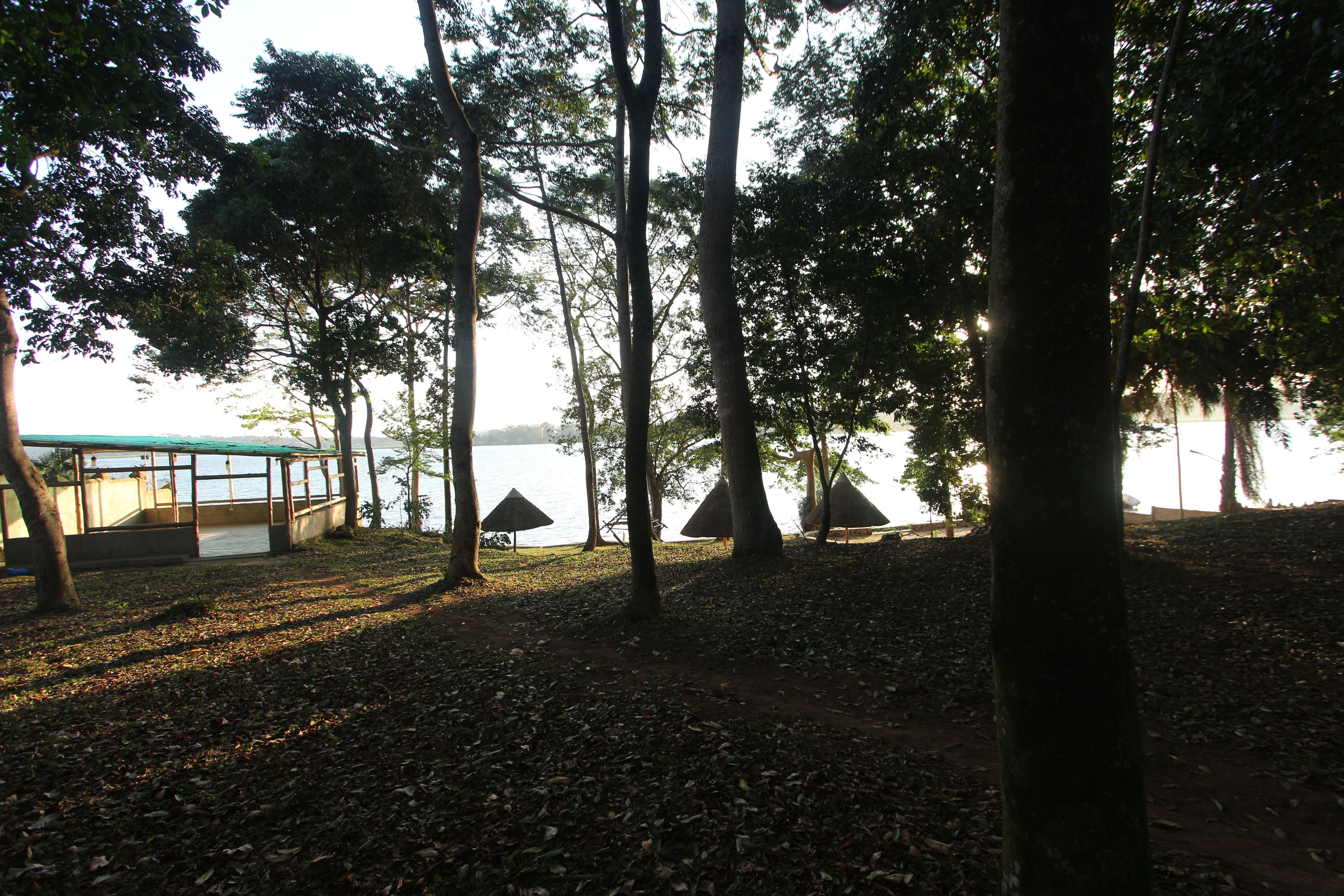 A shaded outdoor area with a view of a body of water, surrounded by trees and a covered seating area.