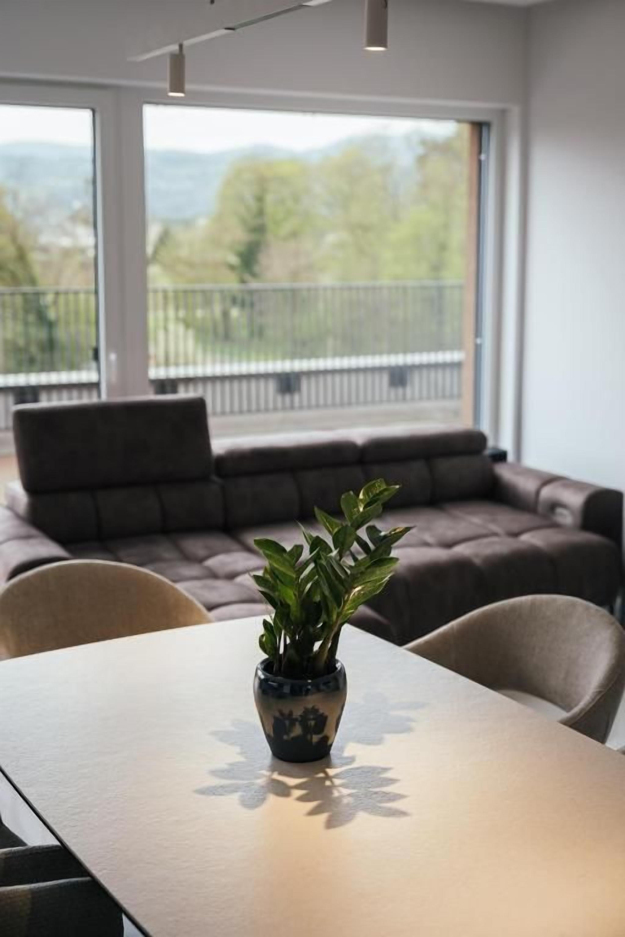 Un espace repas comprenant une table, des chaises et une plante en pot.