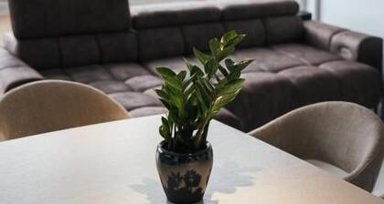 Prestige Rooftop Apartments Viva