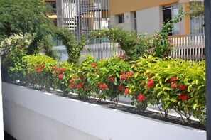 Khuôn viên nơi lưu trú