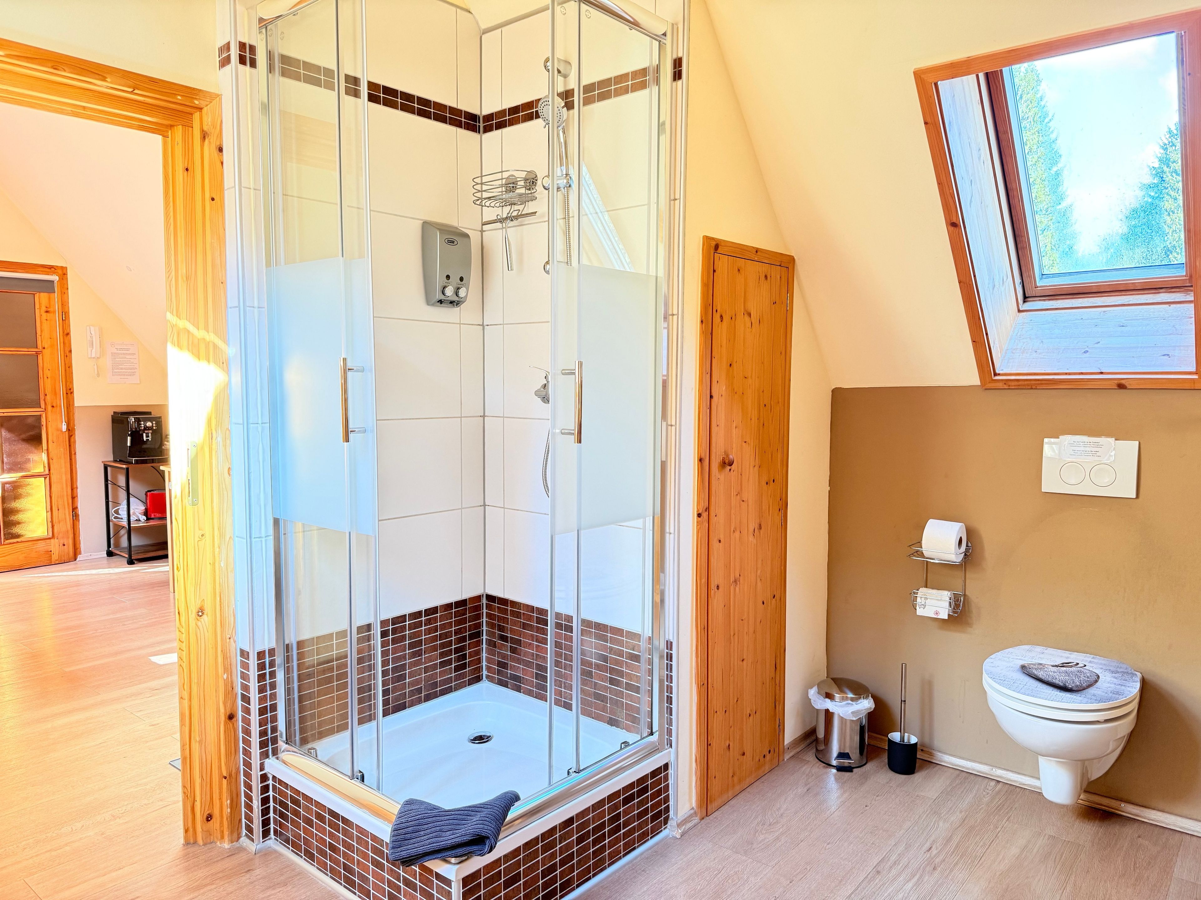 Ein modernes Badezimmer mit einer gläsernen Dusche, einer Toilette und einem Dachfenster.