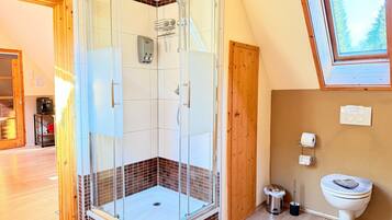 Ein modernes Badezimmer mit einer gläsernen Dusche, einer Toilette und einem Dachfenster.