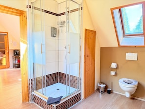 Ein modernes Badezimmer mit einer gläsernen Dusche, einer Toilette und einem Dachfenster.