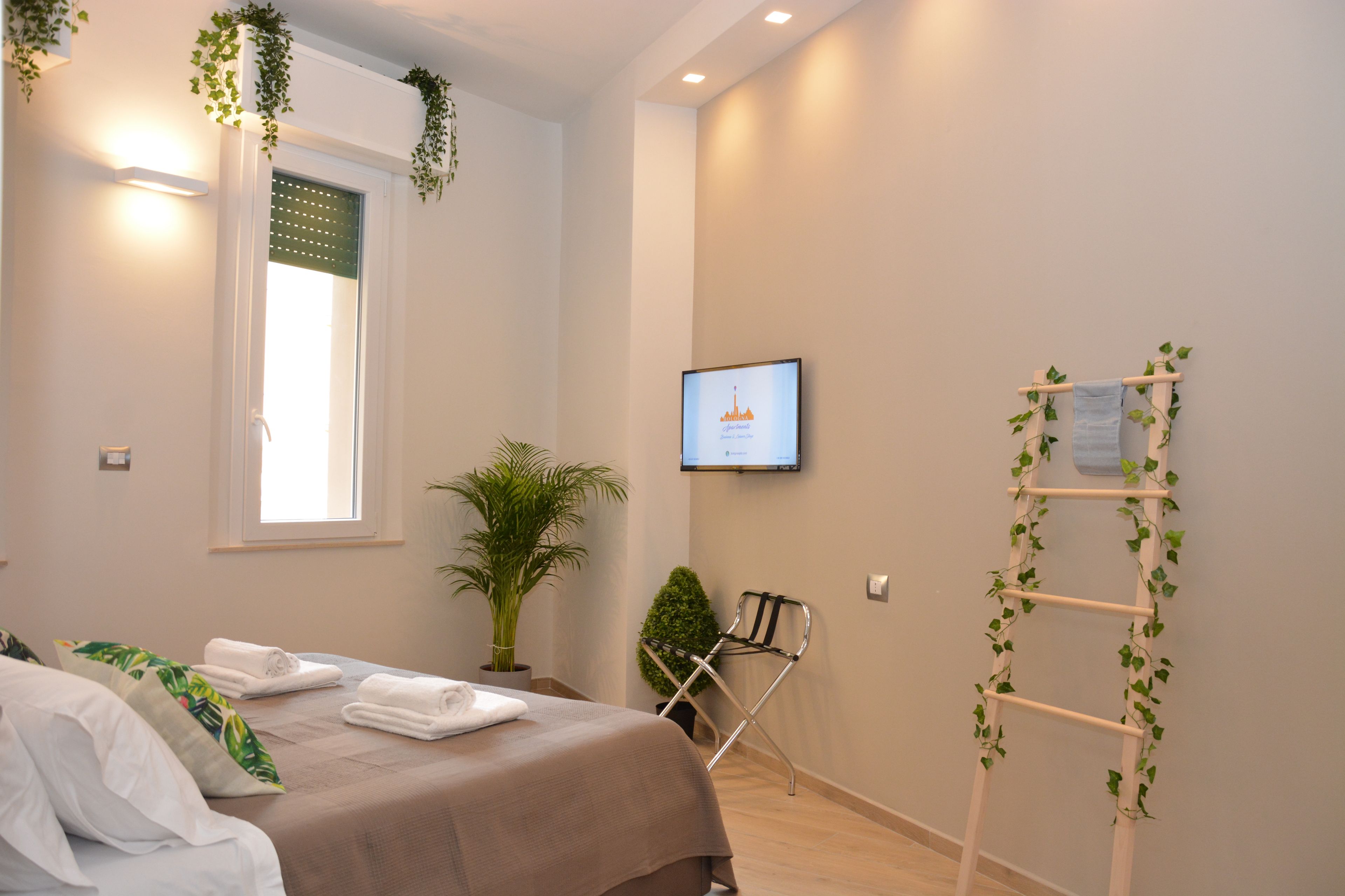 Habitación de hotel con cama, escritorio, silla, planta en maceta y televisor montado en la pared.
