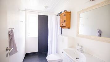 A bathroom with a white toilet, a white sink, a mirror, and a wooden cabinet.