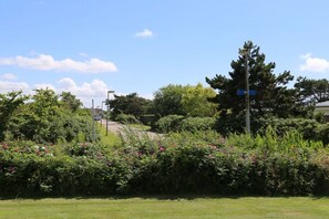 A landscaped area with a variety of plants and trees, a clear sky, and a street sign. - Holiday home with 2 bedrooms (Julianadorp)