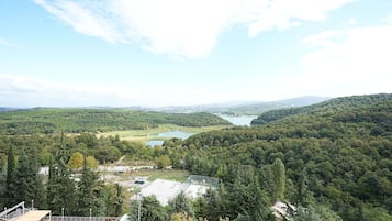 A view of a forested valley with a lake and distant hills.