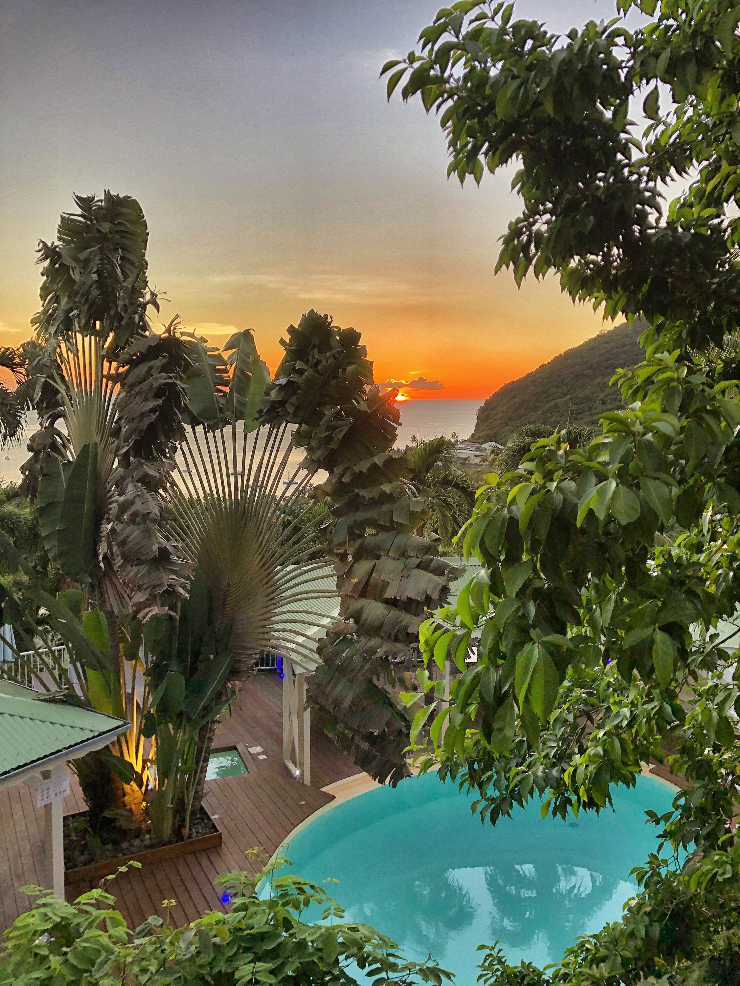 A pool surrounded by tropical vegetation and a sunset view.