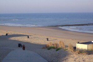 Ein Strand mit einem Hund, der am Sand entlanggeht, einem Weg, der zum Wasser führt, und Mülleimern entlang des Weges.