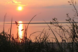 A sunset over a body of water with grasses in the foreground. - in the Butenbörkumer house (Borkum)