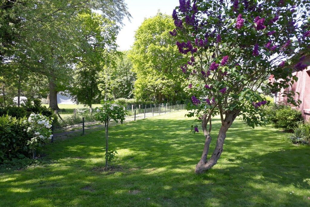 Ein gepflegter Garten mit verschiedenen Bäumen und einer Rasenfläche.