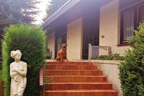A dog sitting on a brick staircase outside a building with a statue nearby. - Holiday home with 1 bedroom (Hambühren)