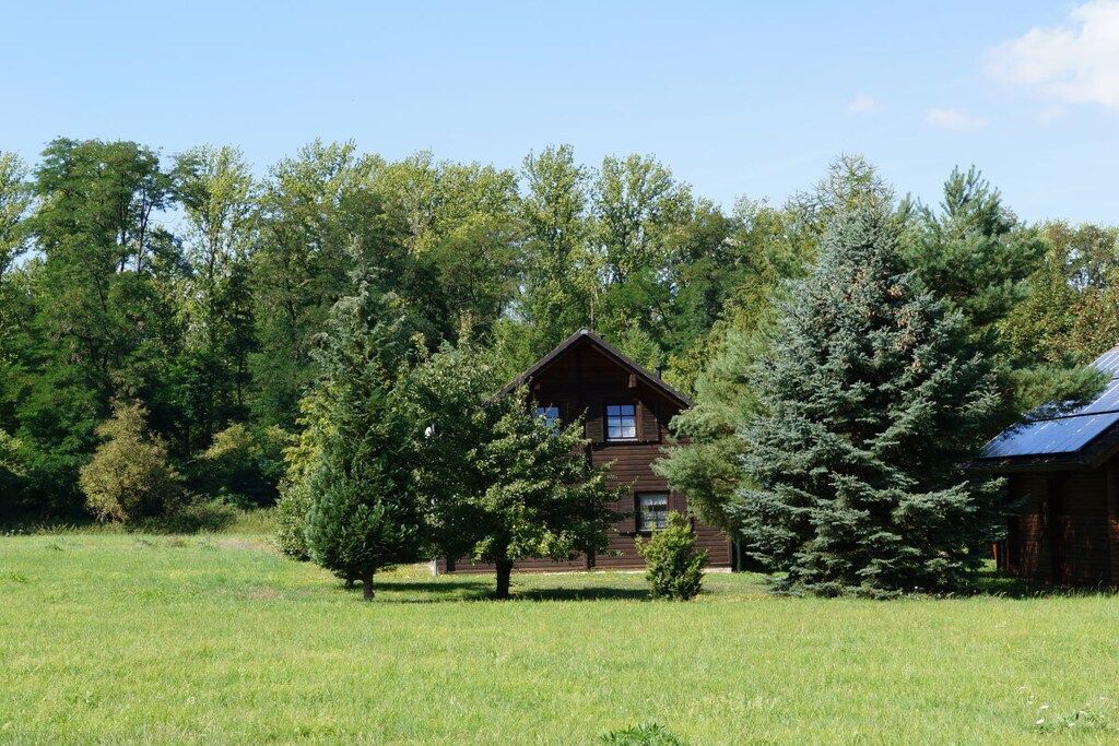 Eine Holzhütte, umgeben von Bäumen in einer grünen Wiese.