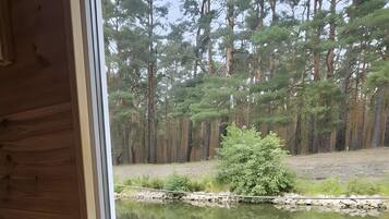 Blick aus einer Hütte mit Holzboden und Fenster auf einen Teich, der von Bäumen umgeben ist.