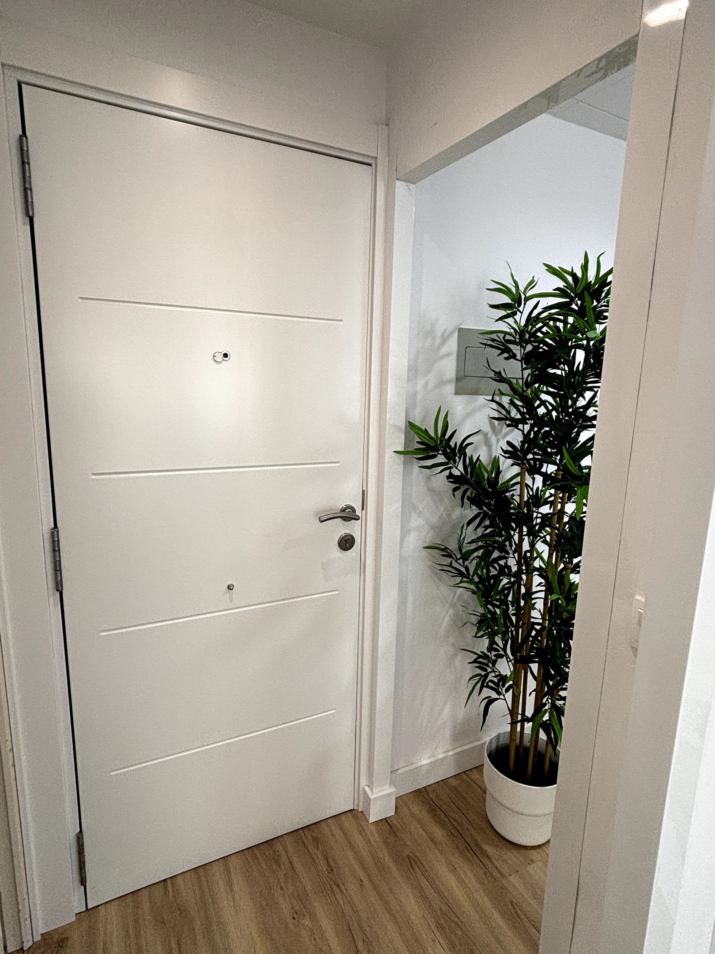 A white door with a keyhole and a handle, a potted plant beside it, and a wooden floor.