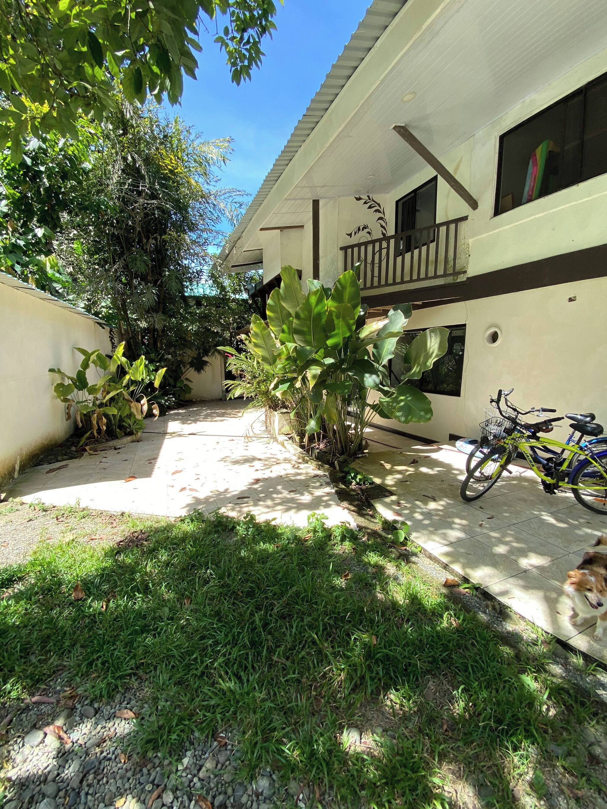 Un patio con un sendero empedrado, una bicicleta y un perro.