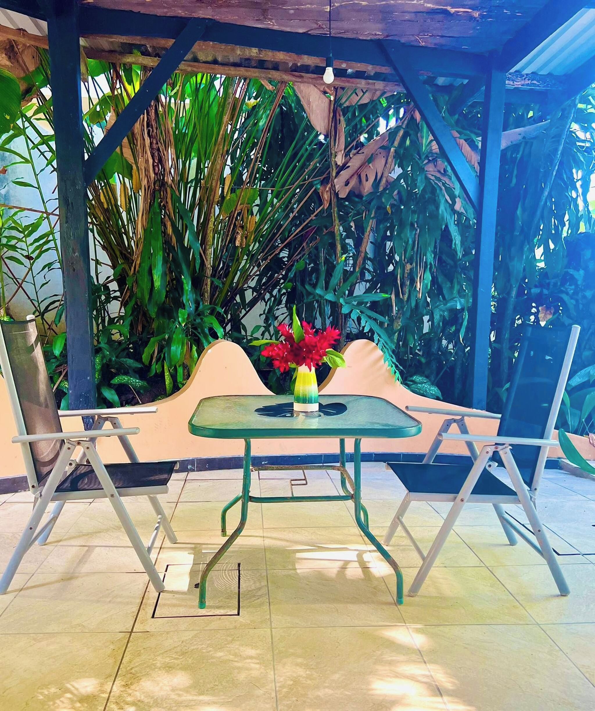 Un área de estar al aire libre con una mesa y sillas, rodeada de plantas tropicales.