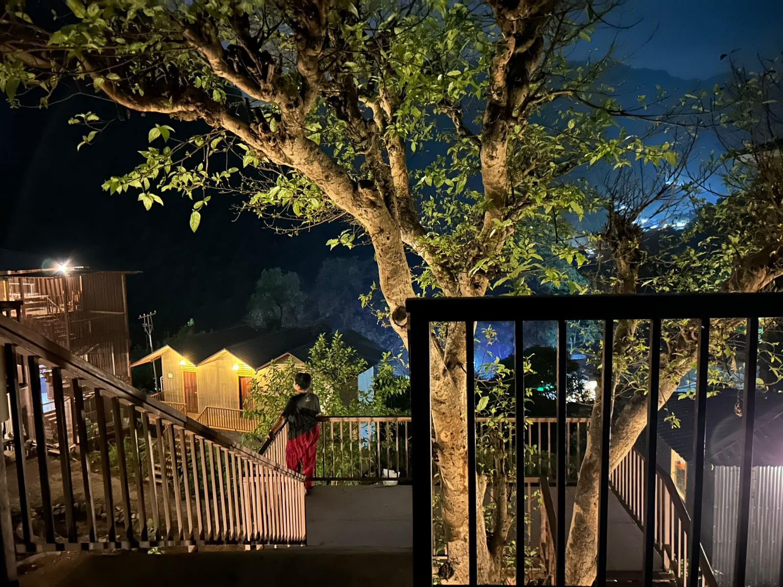 Un cancello chiuso con una scala in legno che conduce a un edificio, circondato da alberi e da un cielo notturno.