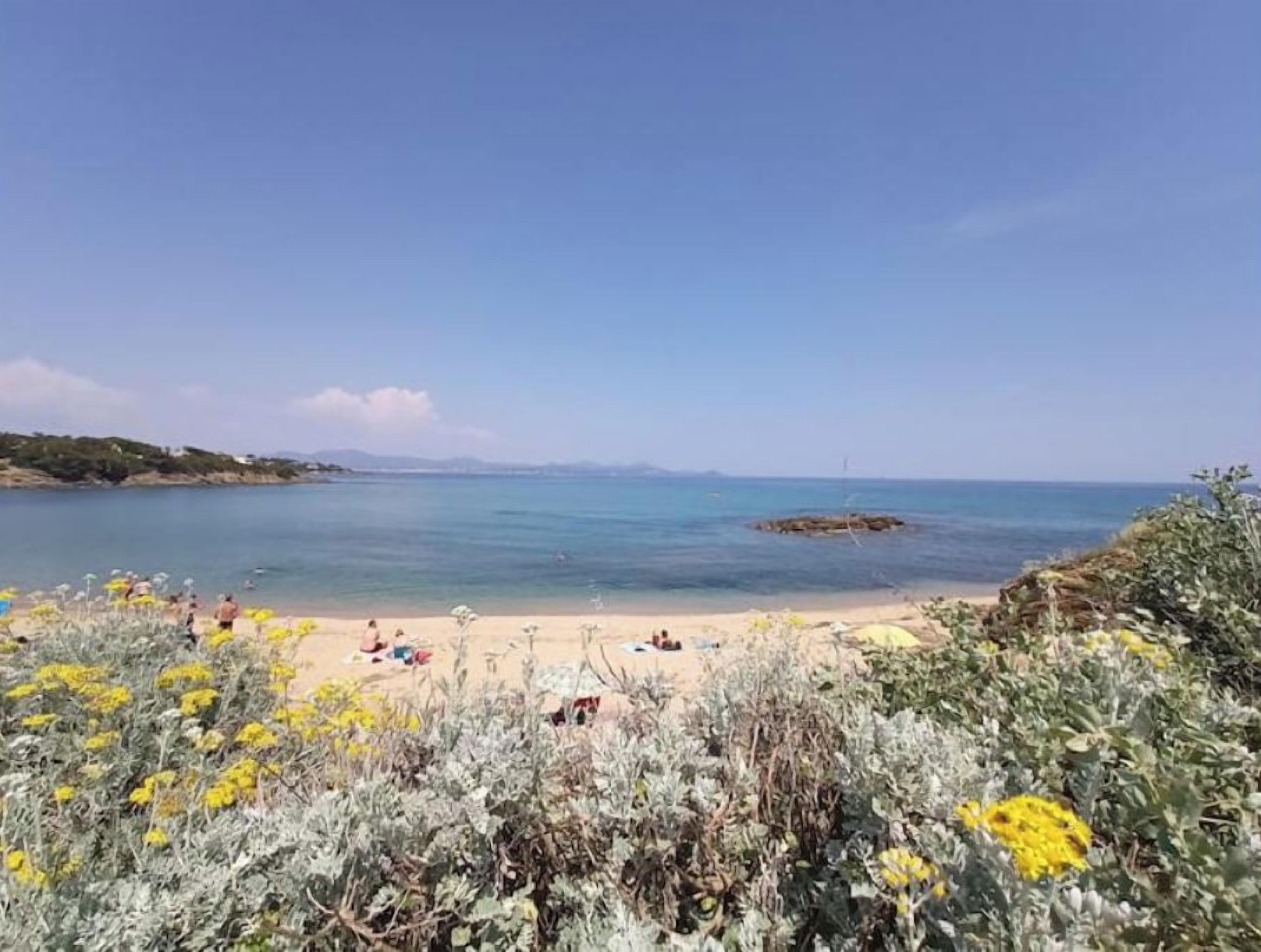 Playa