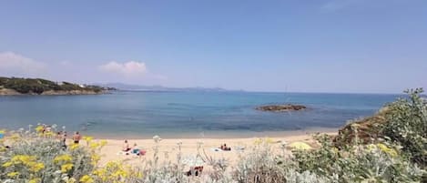 Playa