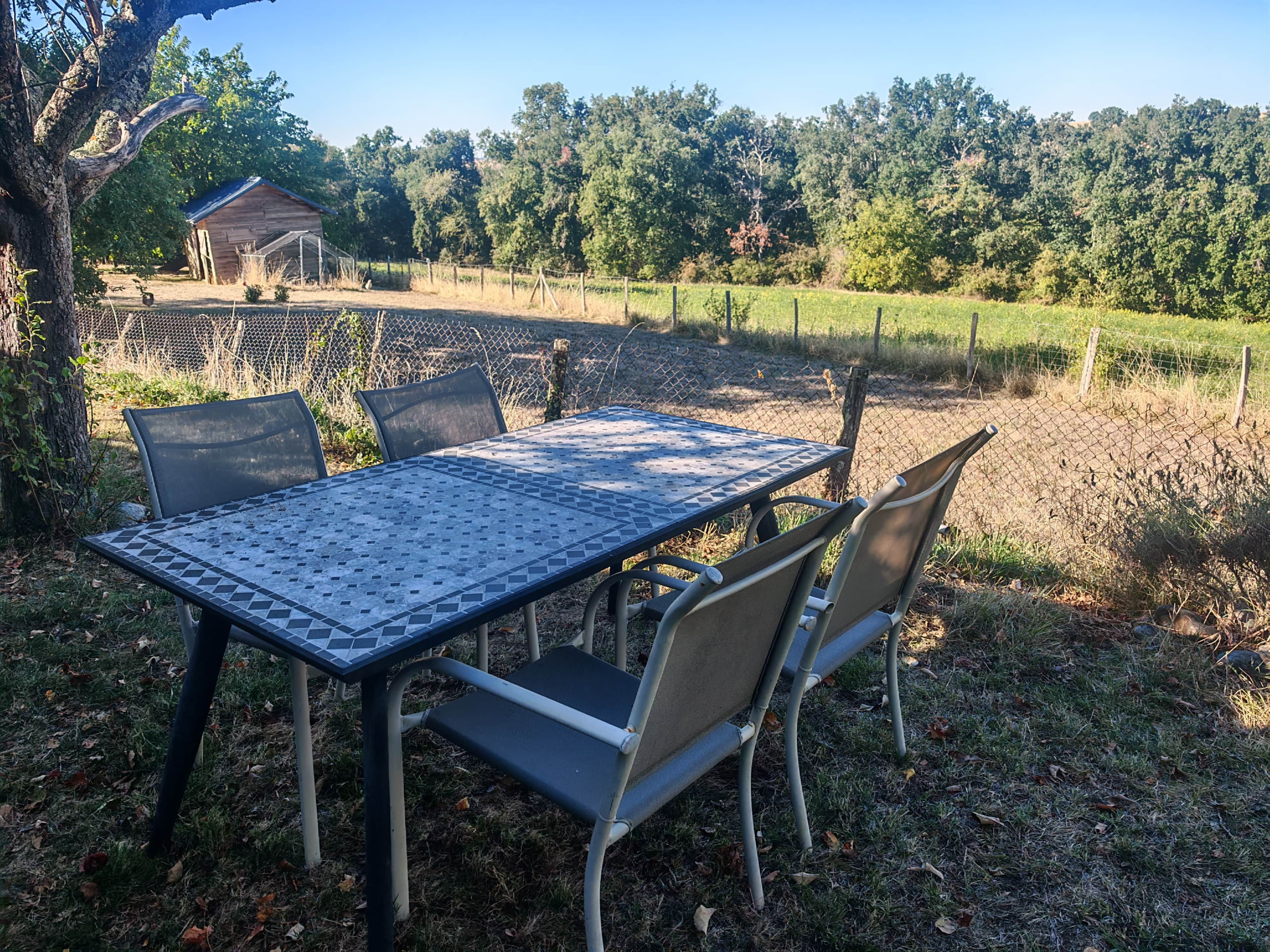 An outdoor table and chairs set in a grassy area with a fence and trees in the background.