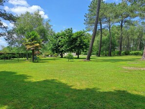 Un espace vert avec de l’herbe, des arbres et un ciel dégagé.