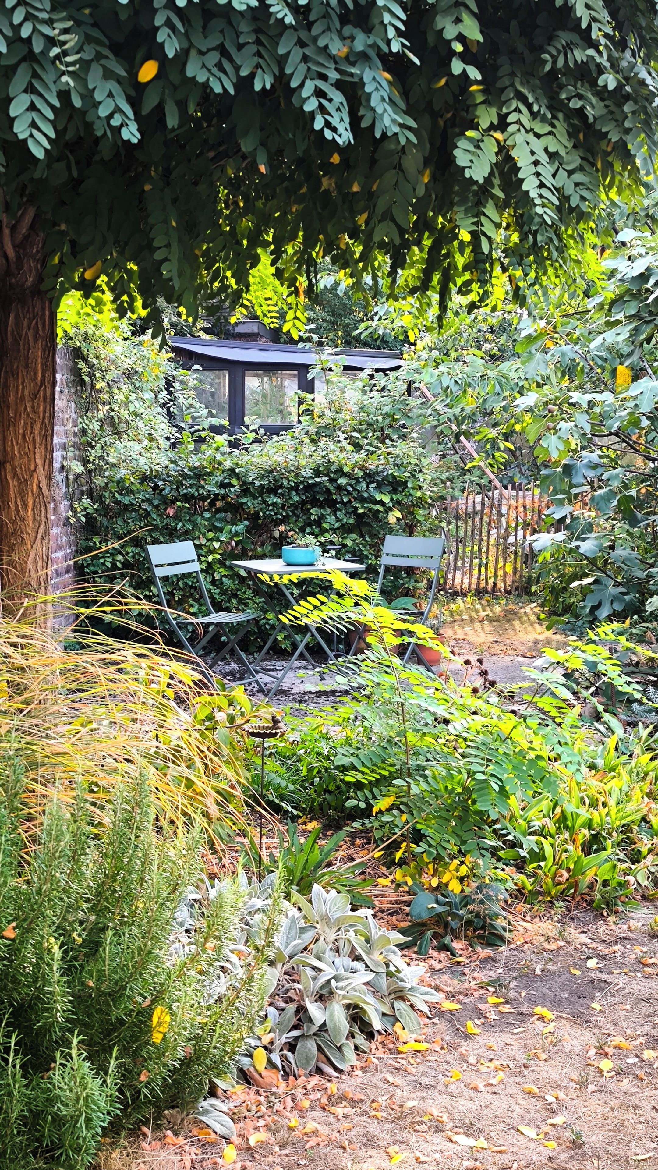 A garden with a table and chairs, surrounded by various plants and trees.