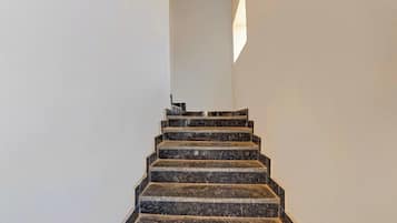 A staircase with a modern design, leading upwards.