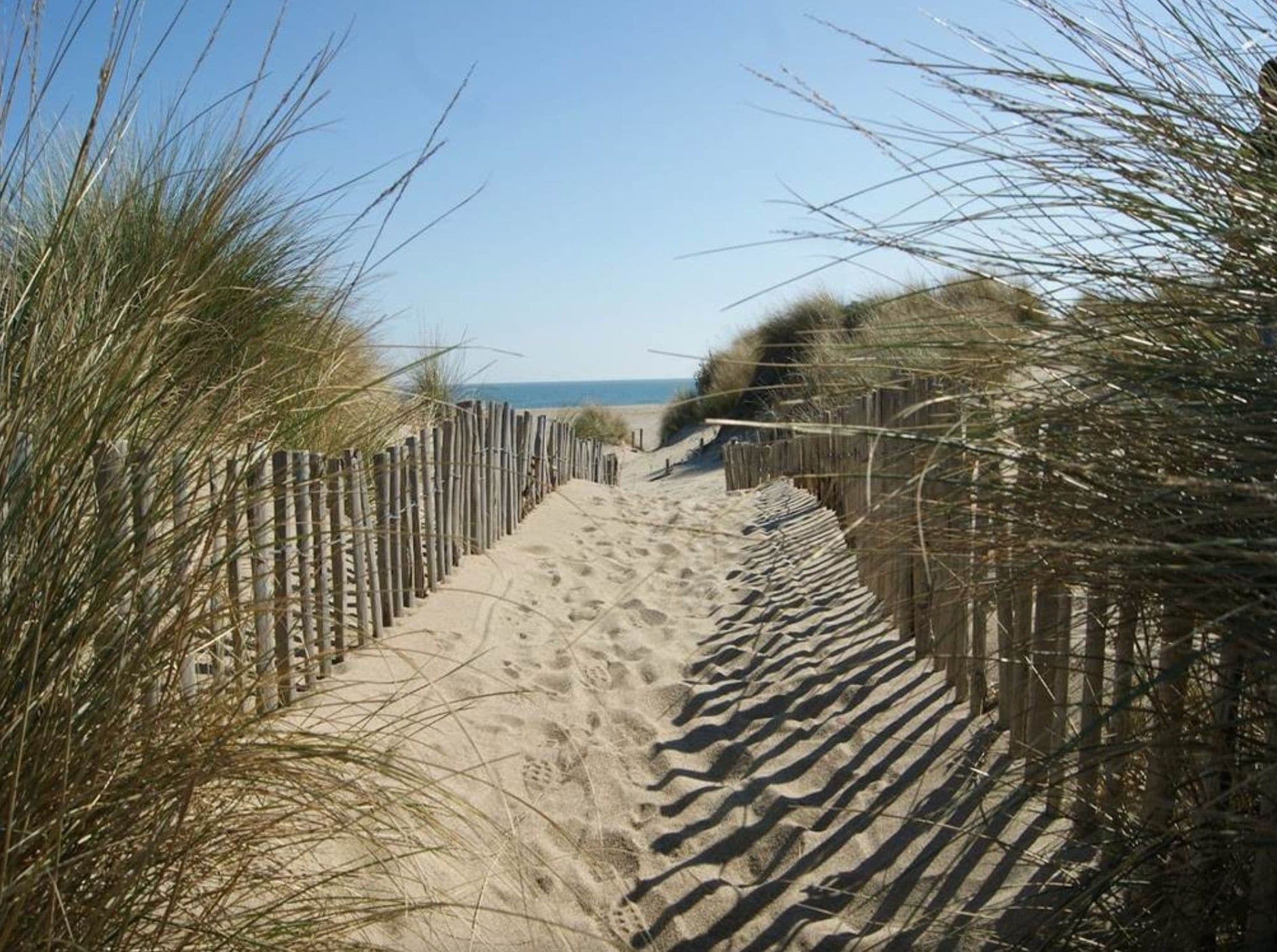 A sandy pathway leading to a beach with a wooden fence on one side and vegetation on the other.