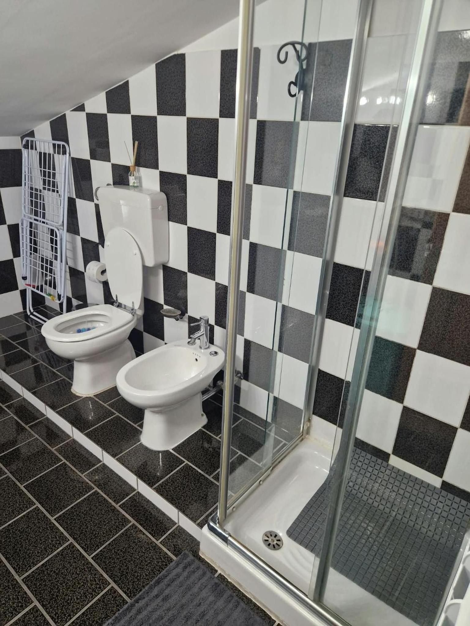 A bathroom with a checkered black and white tile wall, a toilet, a bidet, and a glass-enclosed shower area.