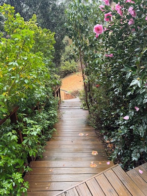 A wooden pathway flanked by lush greenery and pink flowers, leading to a sandy area.