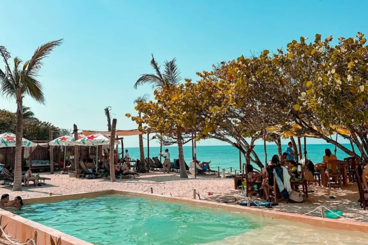 A beachside pool area with umbrellas, lounge chairs, and a clear view of the ocean.