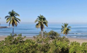 A beach with palm trees and ocean view. - Paradise Exists - Ocean Views and Private Pool (Troncones)