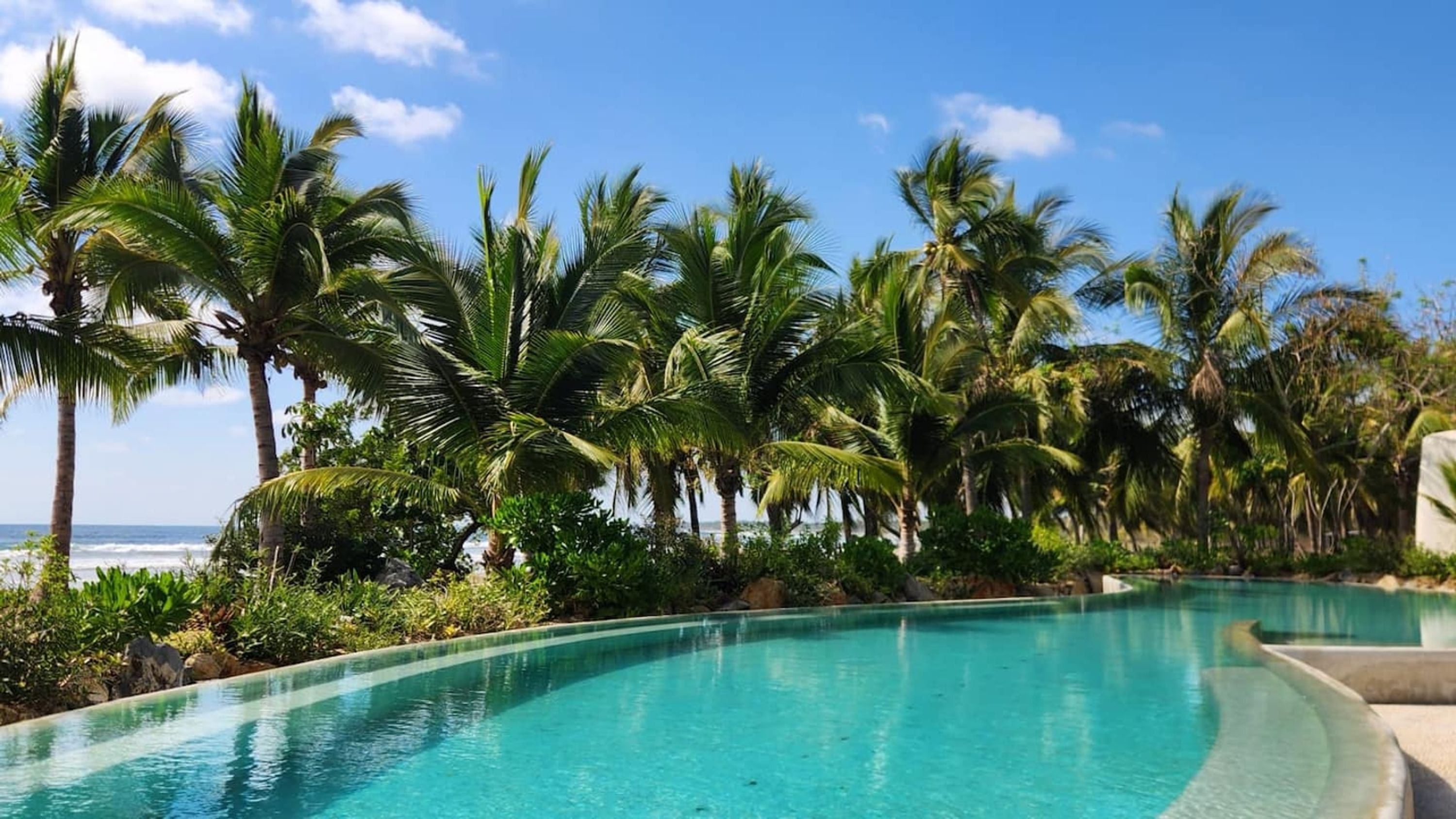 Una piscina infinita curvada con un área junto a la piscina de color azul cristalino, rodeada de exuberantes palmeras y vistas al océano.
