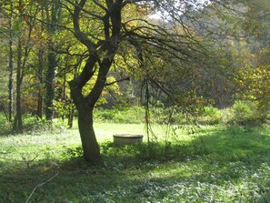 A natural outdoor setting with a tree, grass, and a stone bench. - Holiday Home 'Bourdounal' with Swimming River, 2 Hectares of Private Nature, Terrace and Wi-Fi (Crespin)