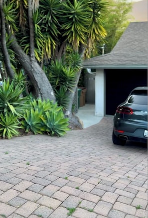 Property grounds - Sweeping Mountain Views, Central Location (Santa Barbara)