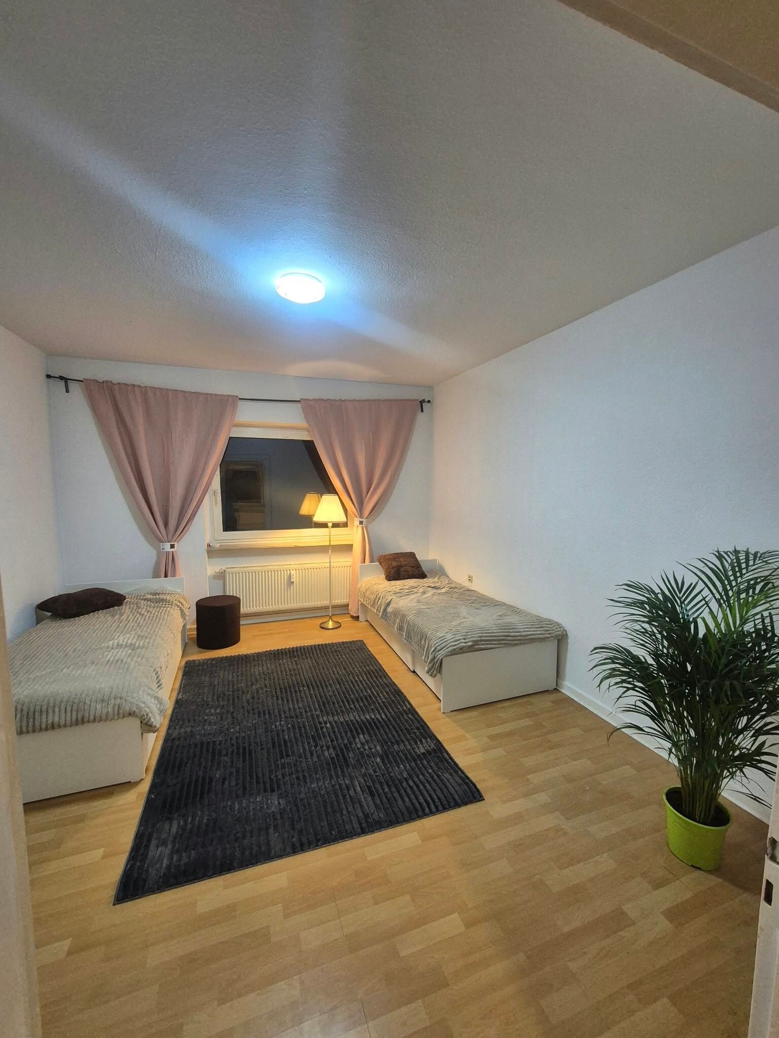 Ein kleiner, gut beleuchteter Raum mit zwei Betten, einem Heizkörper, einer Lampe und einer Topfpflanze.