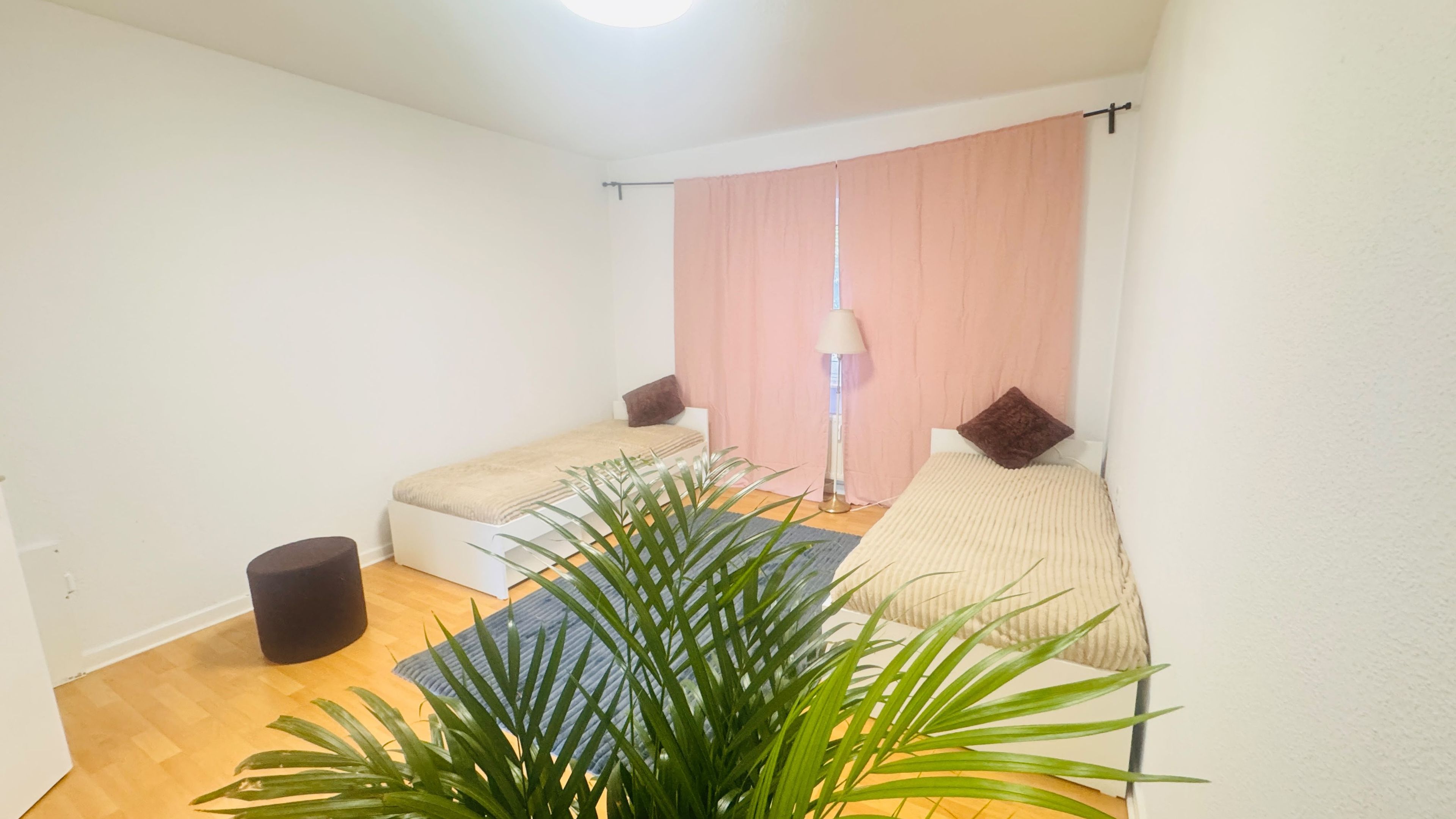 Habitació petita i ben il·luminada amb dos llits, una làmpada de peu i una planta en test.