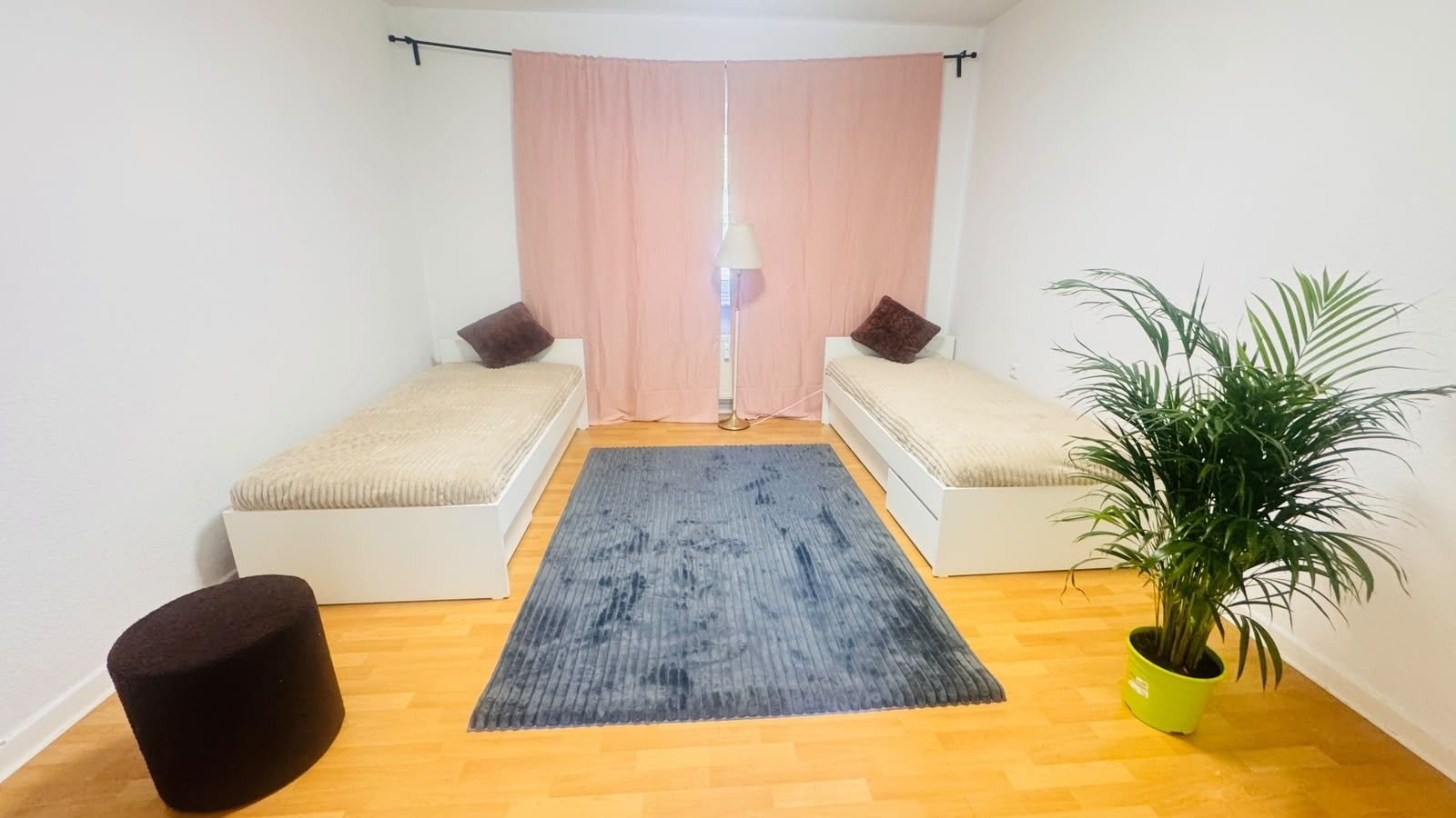 Ein kleines Zimmer mit zwei Betten, einem blauen Teppich, einer Topfpflanze und einem schwarzen Hocker.