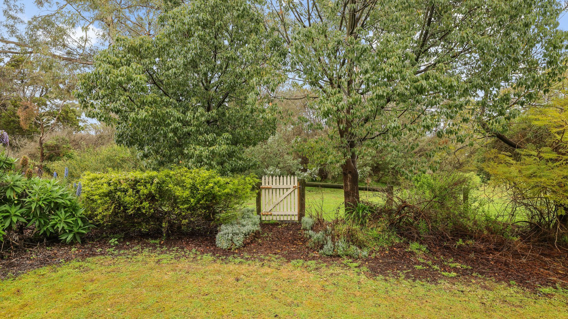 A garden with a wooden gate, various shrubs, and trees.