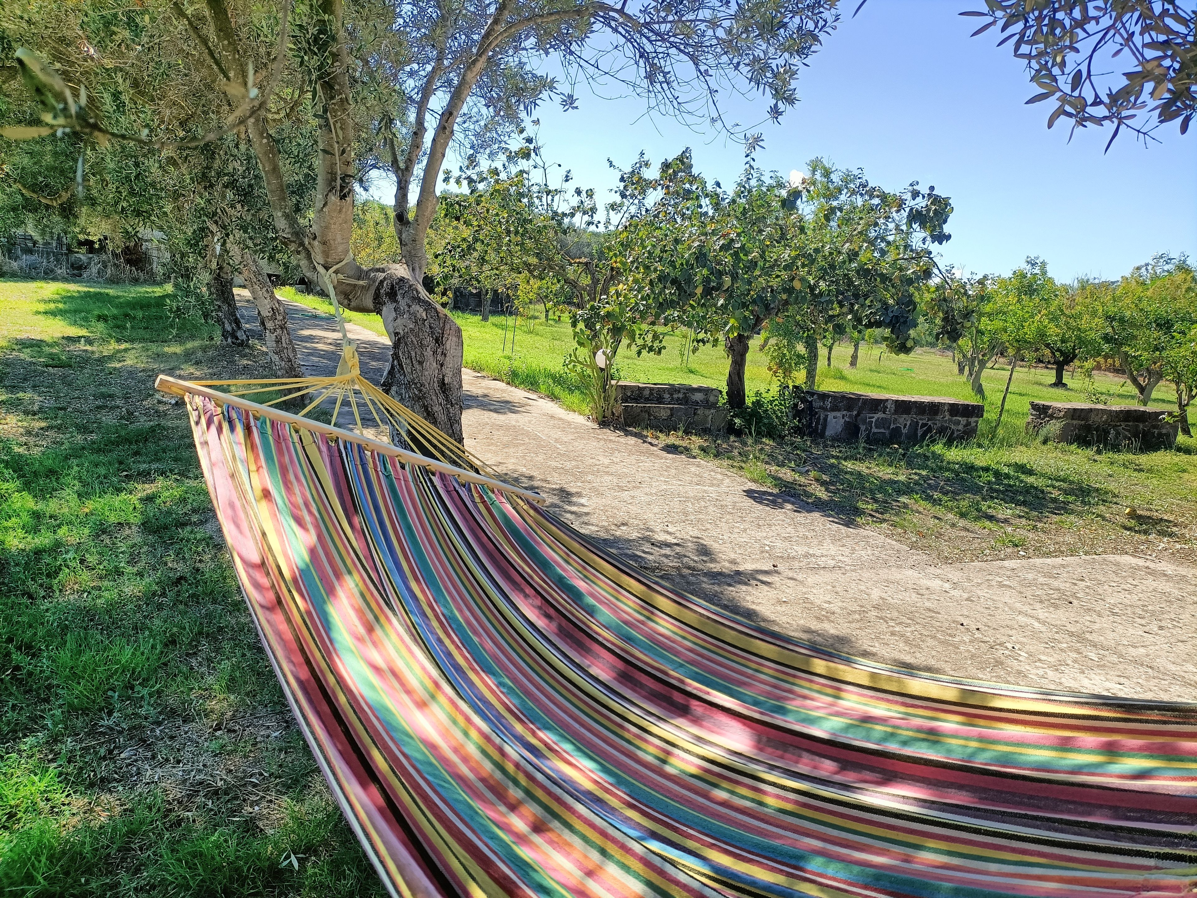 Una hamaca en un área con césped, árboles y cielo despejado.