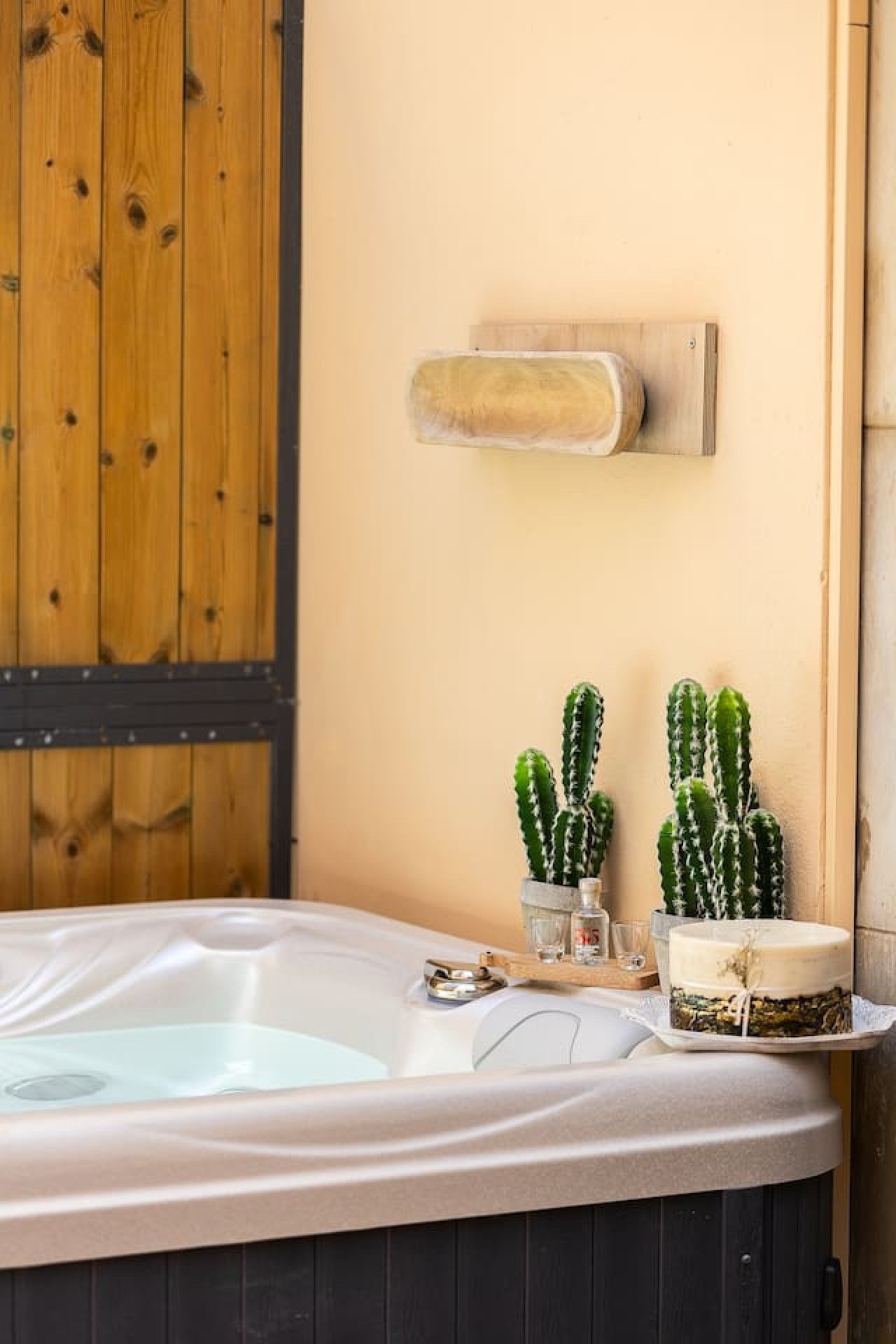 Un bain à remous avec un mur en bois et deux cactus en pot.