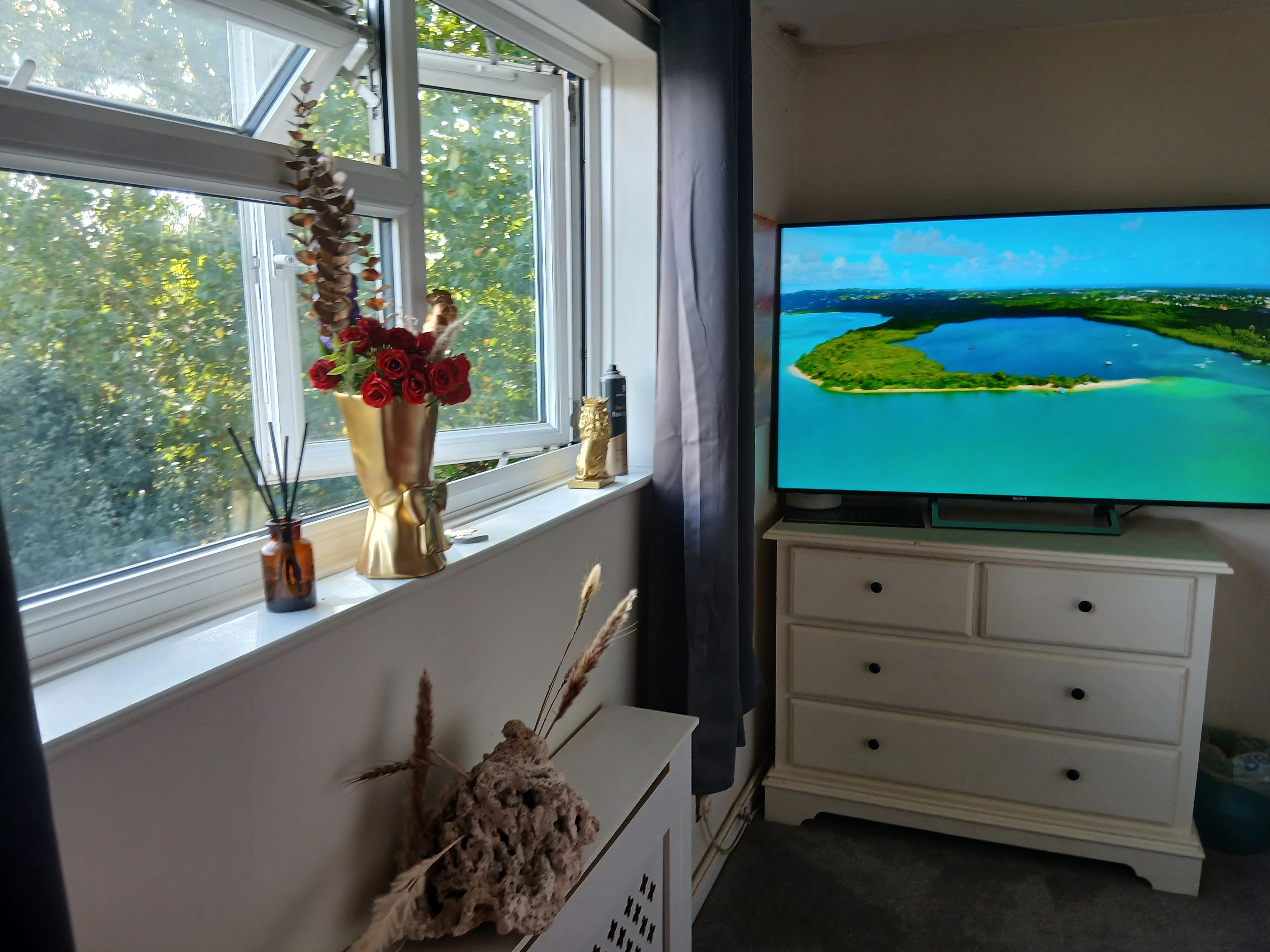 A room with a television displaying a landscape, a window with a view of trees, and a vase with red flowers on the windowsill.