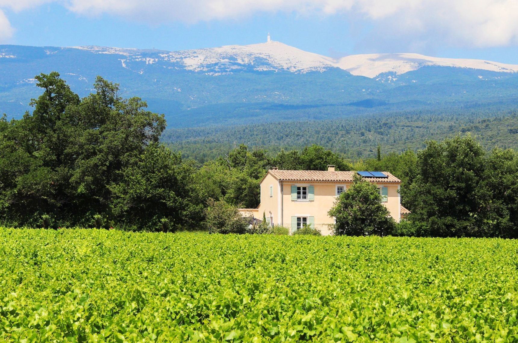 A house with a solar panel, surrounded by a vineyard, with mountains in the background.