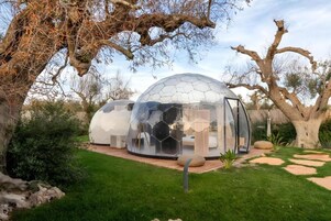 Dos estructuras transparentes en forma de cúpula con mobiliario interior, rodeadas por un jardín ajardinado con un árbol grande y un cielo despejado.
