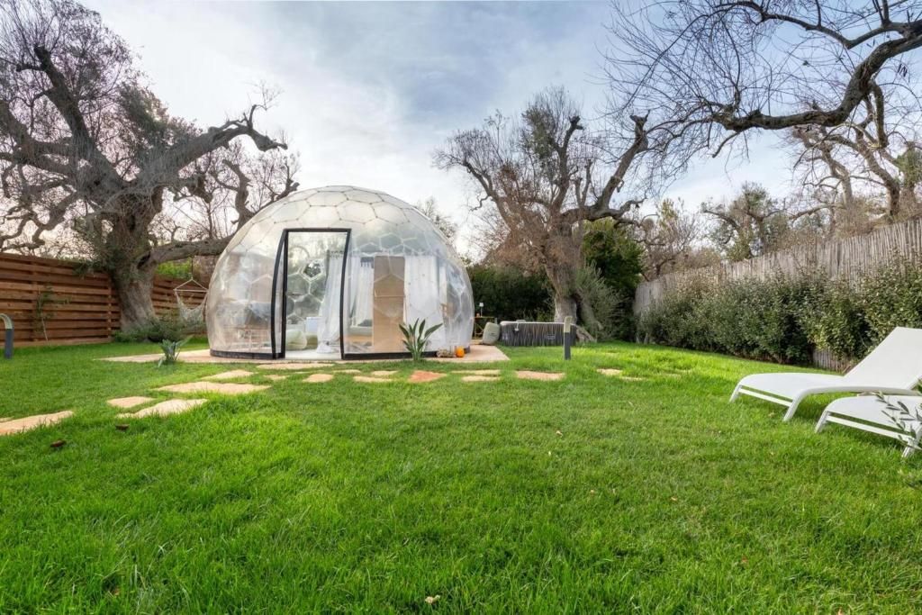 Una estructura con cúpula transparente en un patio trasero, con césped, cerca de madera y dos sillones blancos.