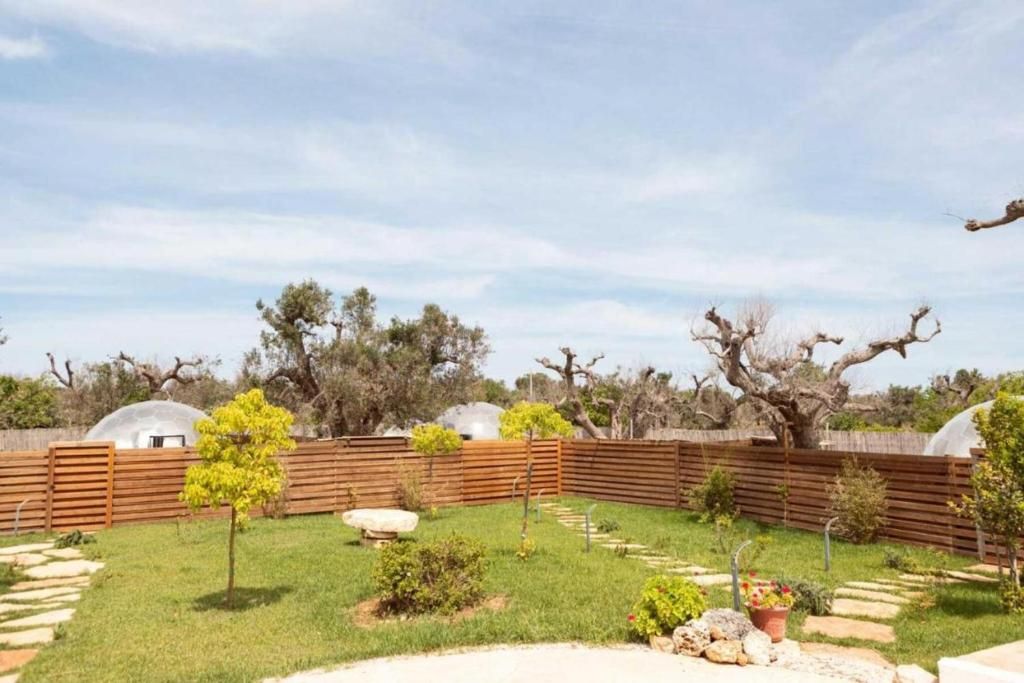 Un patio trasero con cerca de madera, un árbol pequeño, un jardín de rocas y cielo despejado.
