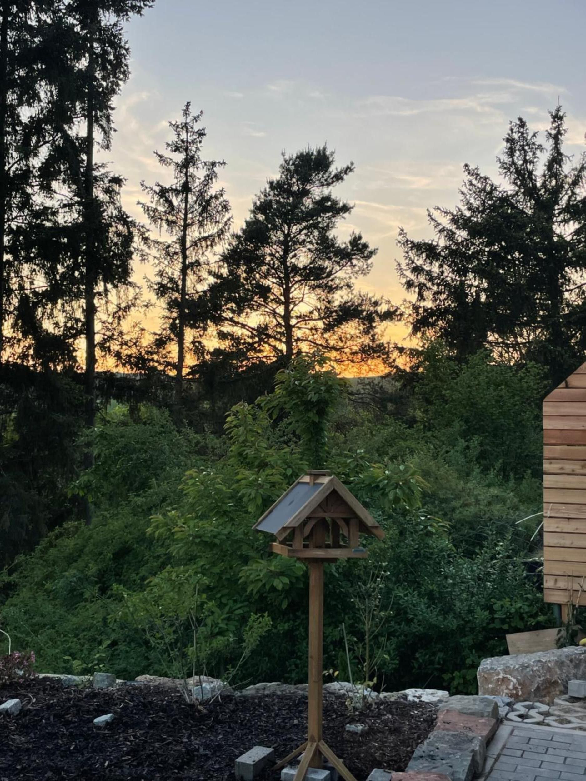 Ein Vogelhaus auf einem hölzernen Pfahl in einem Garten mit dichtem Grünzeug und Bäumen im Hintergrund.